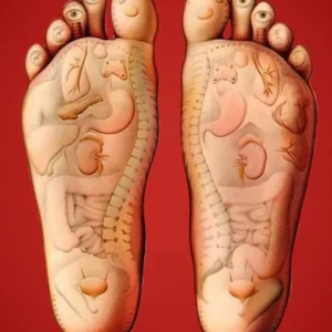 Acupressure Foot Renewal