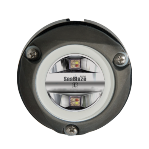 Zambezi Mini Surface Mount Underwater Light